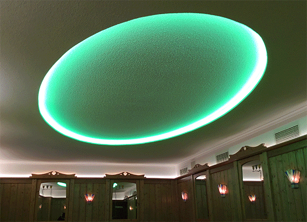 SchwanDecke IMG 0344